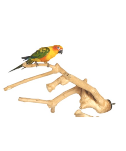 Java Wood Multibranch Perch For Parrots - Small